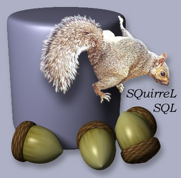 Icone sQuirrel SQL